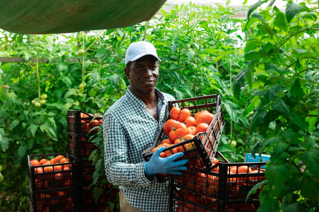 Why Invest in Agriculture with MEPU Global ?